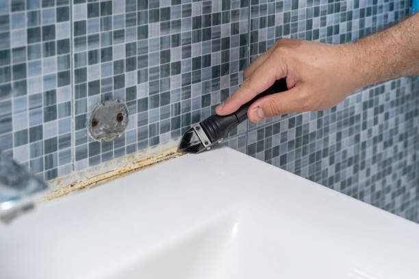Reliable China Grove, TX Mold Removal Solutions